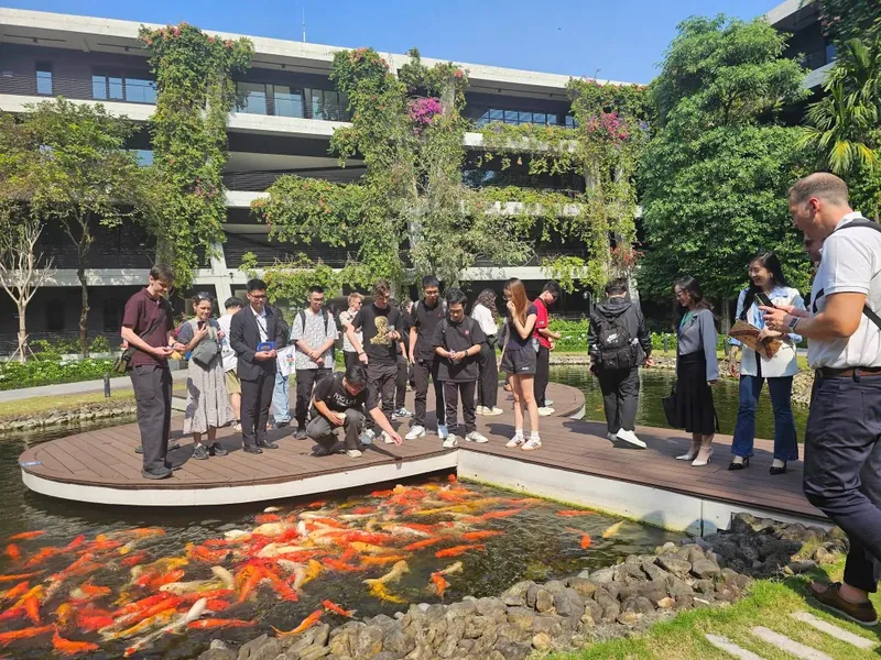 Koi pond design activity photo
